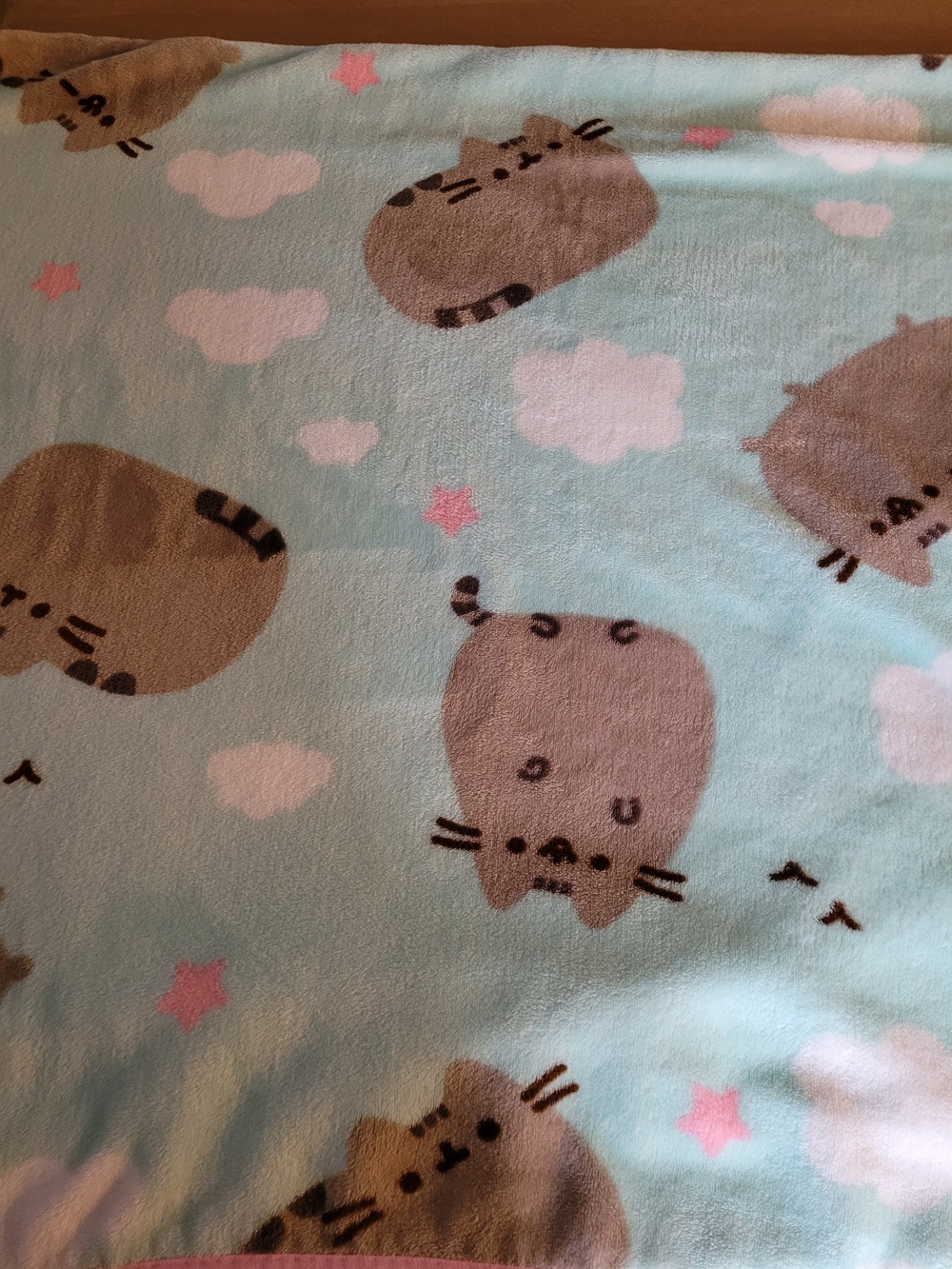 Pusheen The Cat Soft Fleece Blanket 46x60